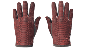Dragon Fists image