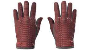 Dragon Fists image