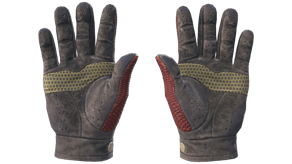 Dragon Fists image