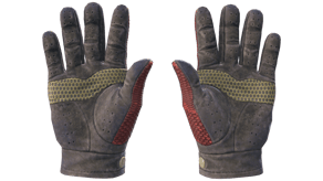Dragon Fists image