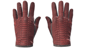 Dragon Fists image