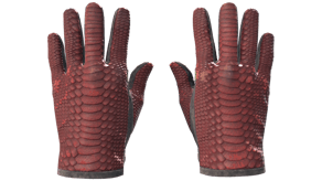 Dragon Fists image