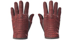 Dragon Fists image