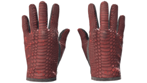 Dragon Fists image