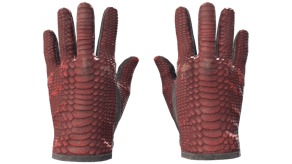 Dragon Fists image