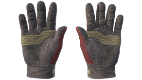 Dragon Fists image