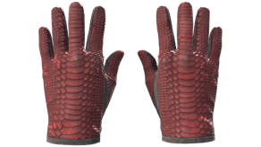 Dragon Fists image