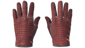 Dragon Fists image