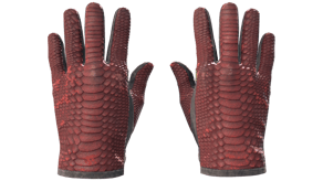 Dragon Fists image
