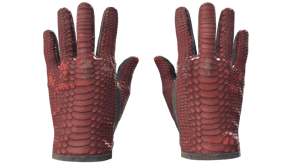 Dragon Fists image
