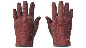 Dragon Fists image