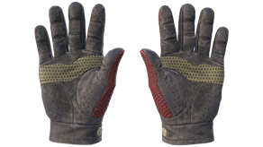 Dragon Fists image