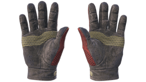Dragon Fists image