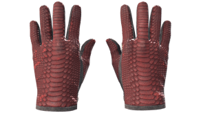 Dragon Fists image