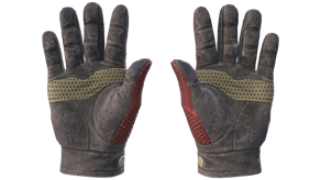 Dragon Fists image