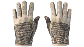 King Snake image