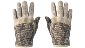King Snake image