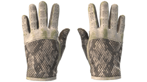 King Snake image