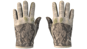 King Snake image