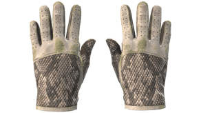 King Snake image