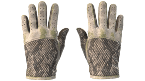 King Snake image
