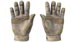 King Snake image