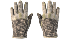 King Snake image