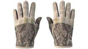 King Snake image