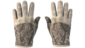 King Snake image