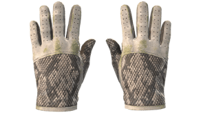 King Snake image