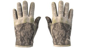 King Snake image