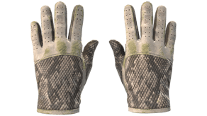 King Snake image