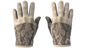King Snake image
