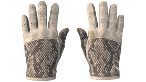 King Snake image