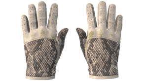 King Snake image