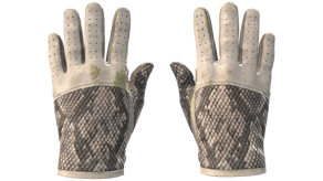 King Snake image