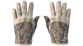 King Snake image
