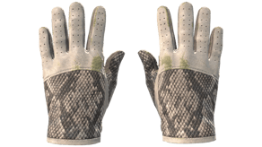 King Snake image