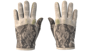 King Snake image