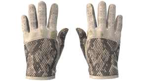 King Snake image