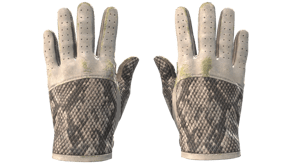 King Snake image