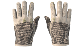 King Snake image