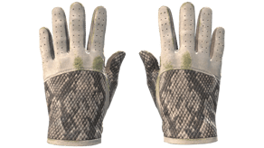 King Snake image