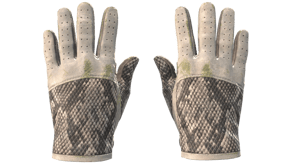 King Snake image