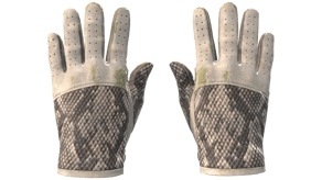 King Snake image