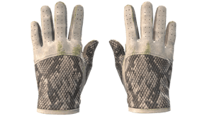 King Snake image