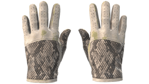 King Snake image