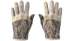 King Snake image