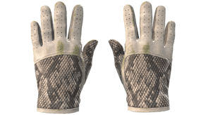King Snake image