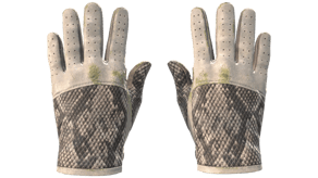 King Snake image